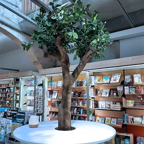 LIBRAIRIE ST-SAUVEUR